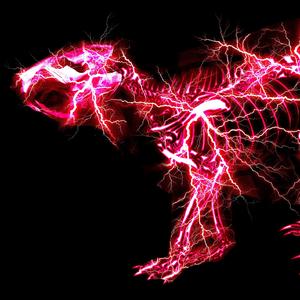 韩国学生小男生Gay
