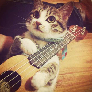 韩国学生小男生Gay
