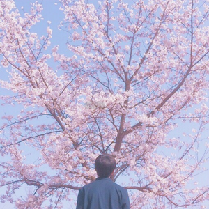 韩国学生小男生Gay
